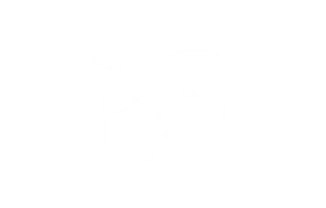 Logo VICTUS